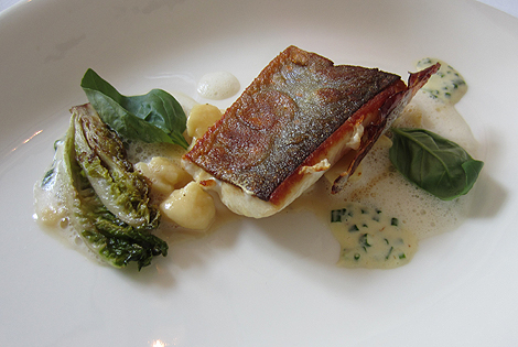 Hofkirchner Saibling, Erdäpfel-Krenfond, Gnocchi, Schnittlauchsauce (18€)