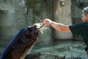Jeden Freitag (wie auch jeden anderen Wochentag) gibts Fisch. 