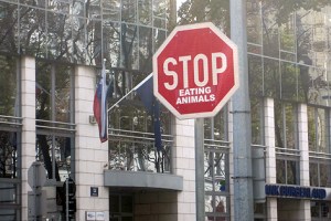 Humor im Straßenverkehr: "stop eating animals"