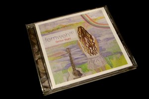 Bass Slapping, Percussion, Fingerpicking und Melodiespiel